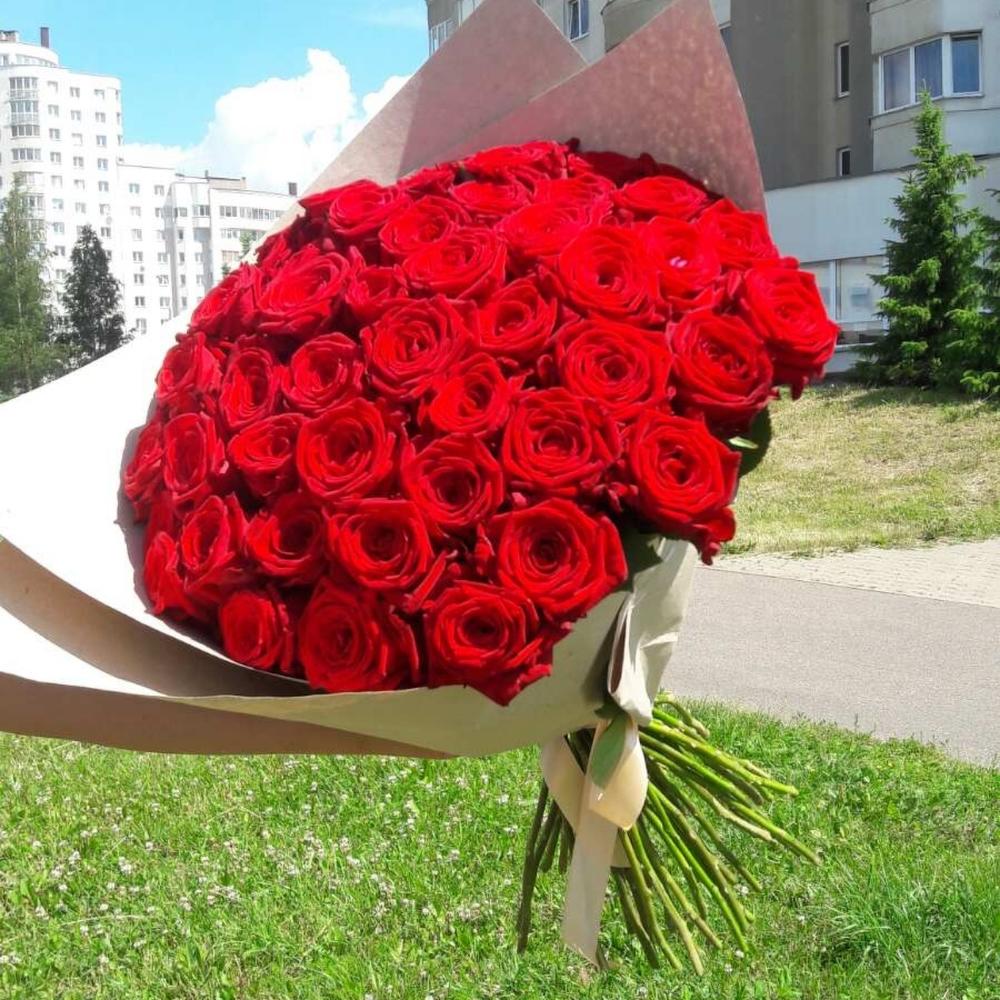 51 красная